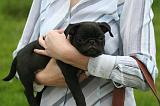 ADULTE ET CHIEN 526
